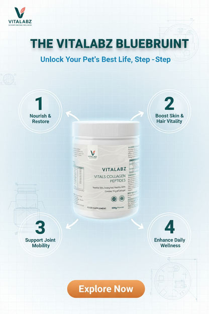 Vitalabz Bluebruint product with benefits on a light blue background